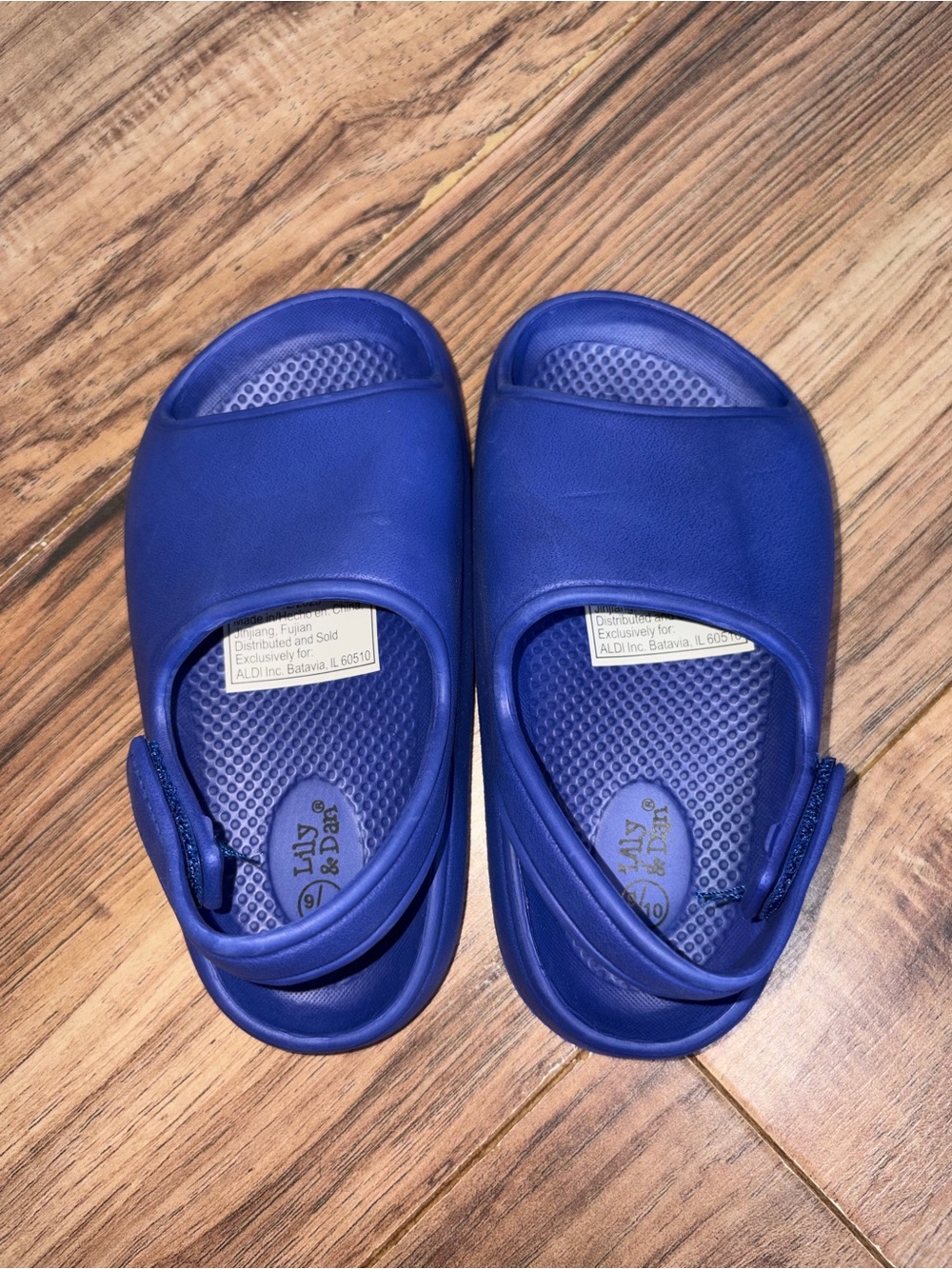 Lily & Dan Royal Blue Slides Unisex Toddler 9/10 NWOT